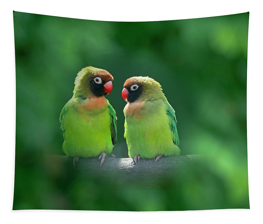 Animal Tapestry featuring the photograph Black-cheeked Lovebird Captive. Foliage Digitally by Ernie Janes / Naturepl.com