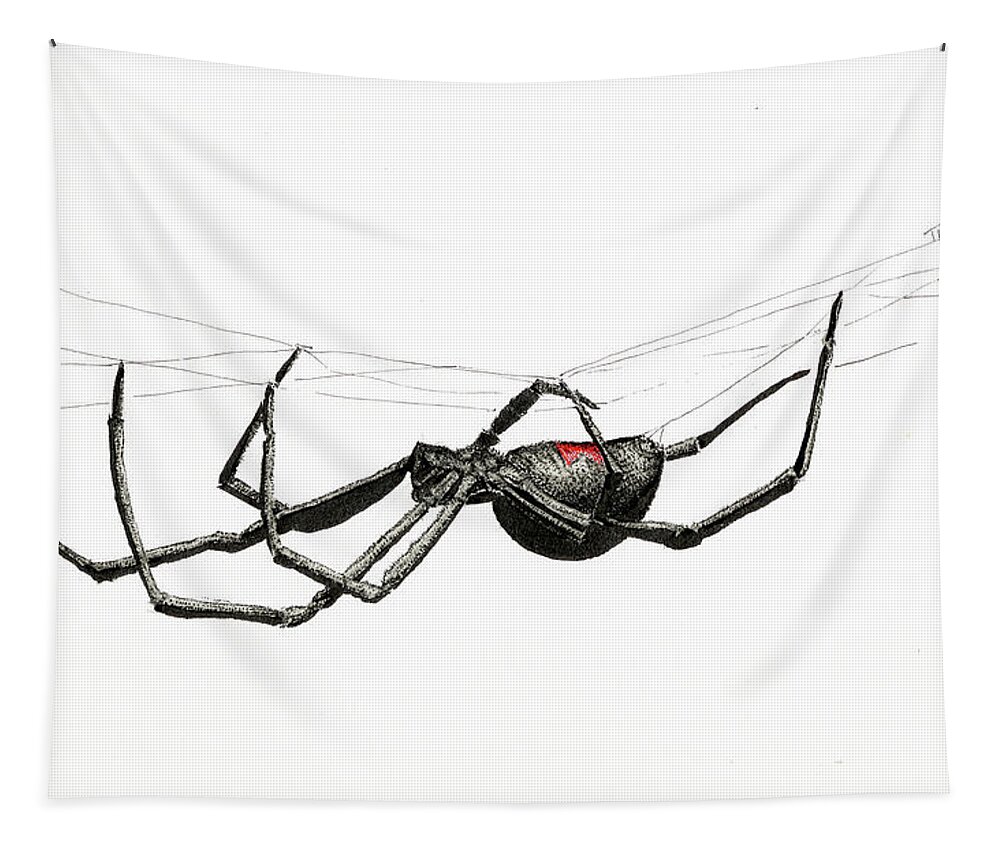 Black Widow Tapestry featuring the drawing Black Widow by Timothy Livingston