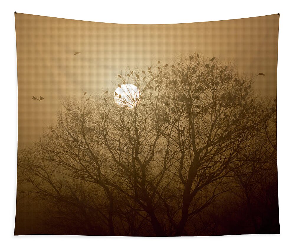 California Tapestry featuring the photograph Blackbird Sunrise by Cheryl Strahl