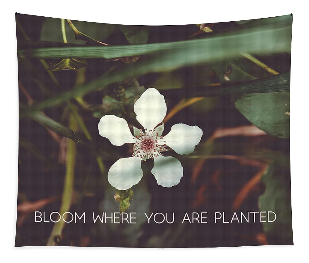 Minimalism Tapestry featuring the photograph Bloom where you are planted #inspirational by Andrea Anderegg