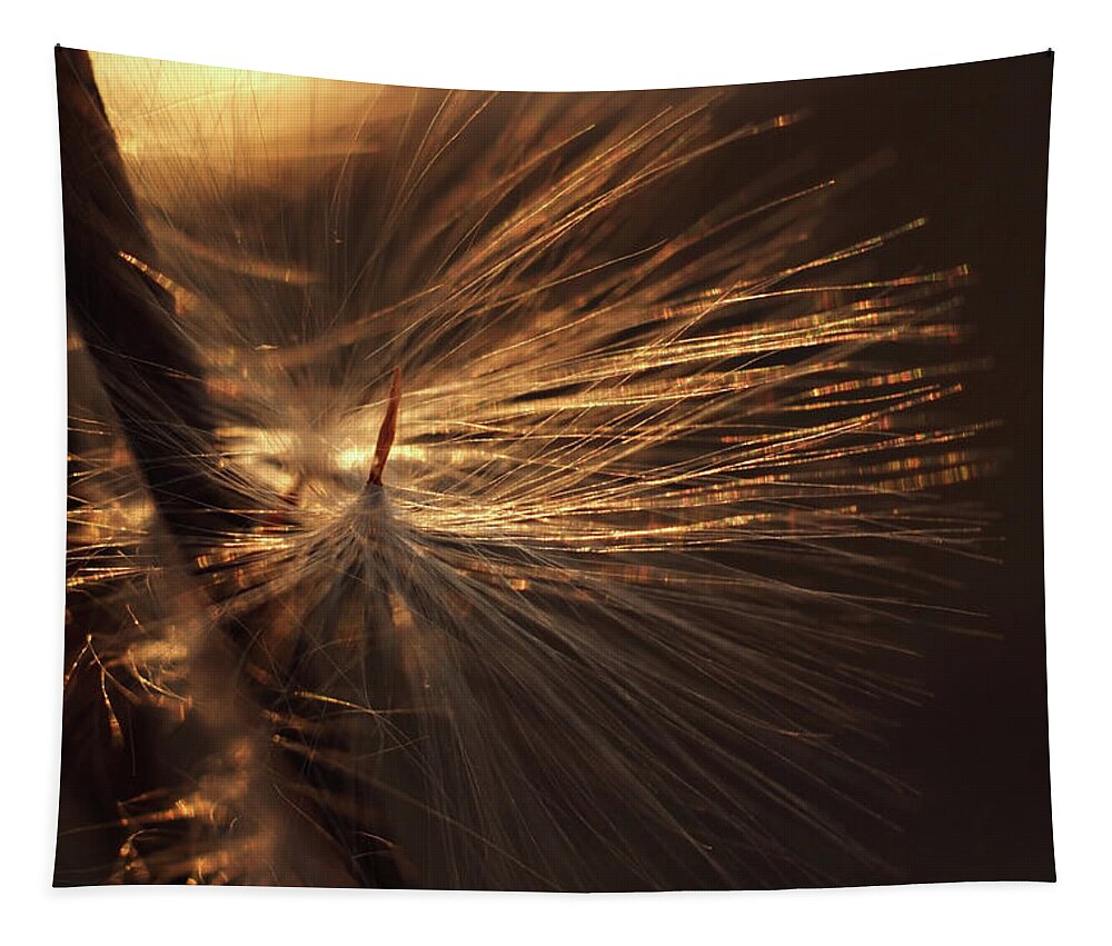 Windblown Tapestry featuring the photograph Blowing by Michelle Wermuth