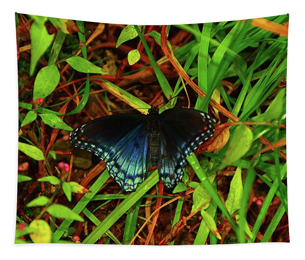 Blue Butterfly Of Shenandoah Tapestry featuring the photograph Blue Butterfly of Shenandoah by Raymond Salani III