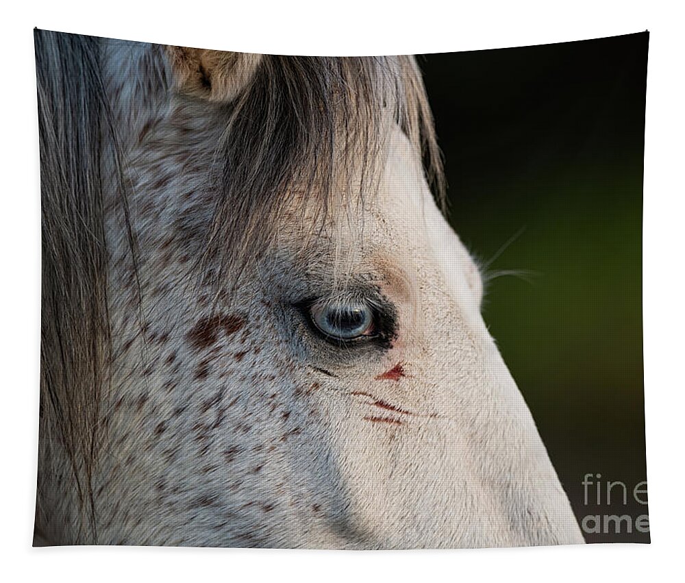 Eyes Tapestry featuring the photograph Blue Eye by Shannon Hastings