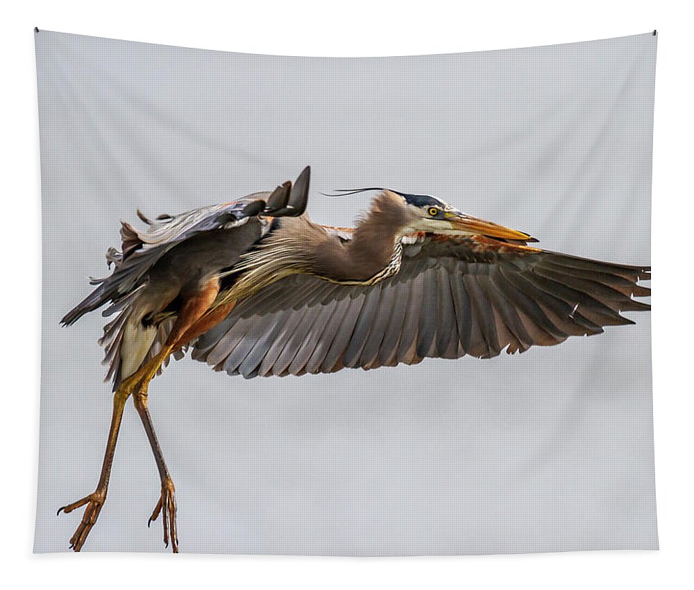 Grand Lake Tapestry featuring the photograph Blue Heron 1 by David Wagenblatt