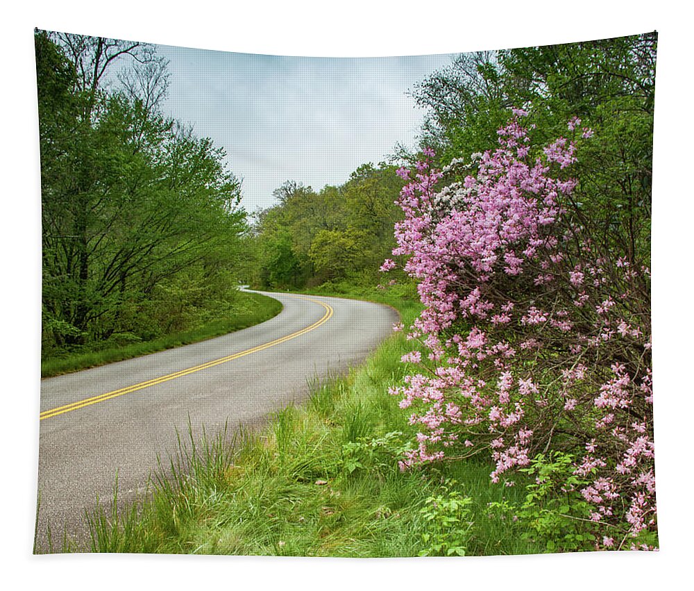 Asheville Tapestry featuring the photograph Blue Ridge Parkway in Bloom by Joye Ardyn Durham