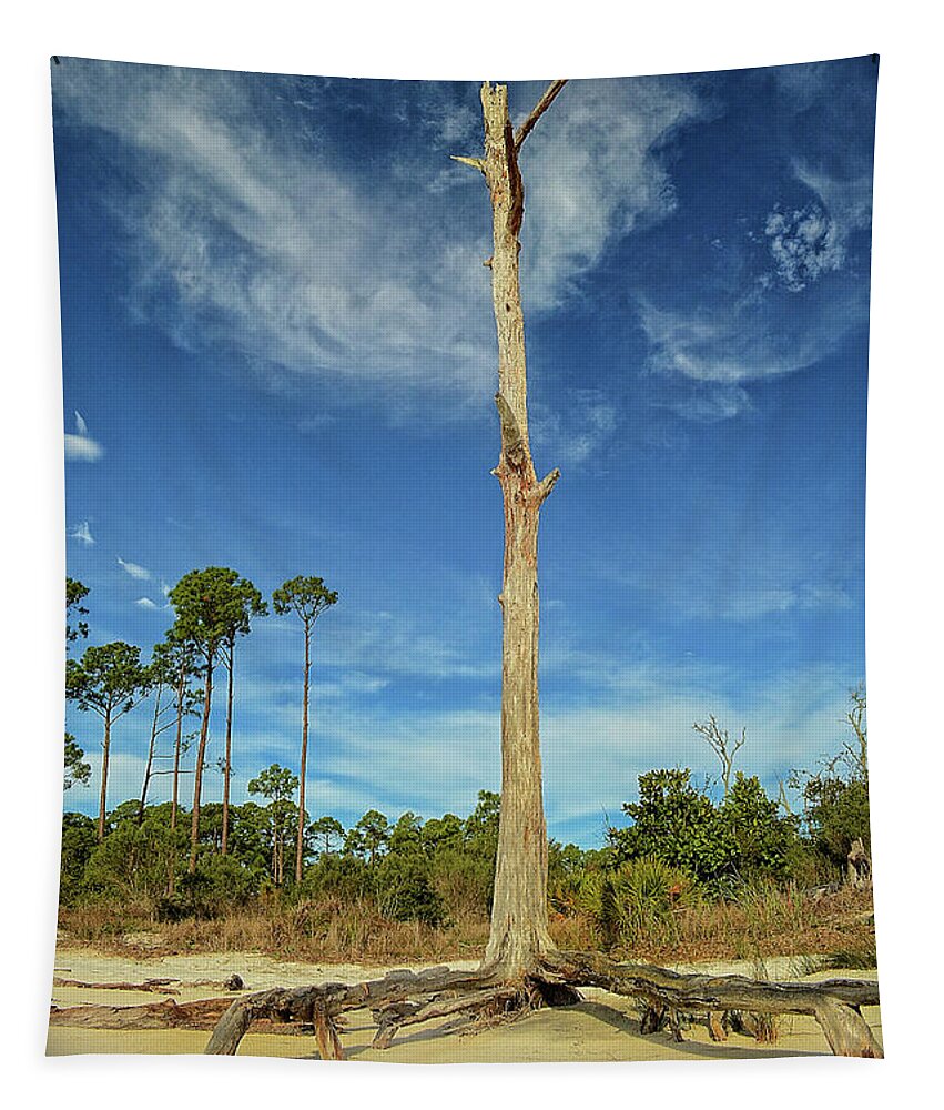 Blue Sky Tapestry featuring the photograph Blue Skies and Broken Branches by Maggy Marsh