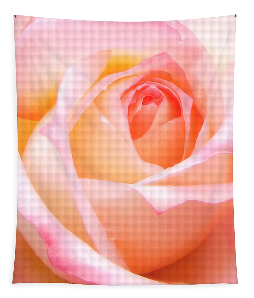 Rose Tapestry featuring the photograph Blushing Beauty by Susan Hope Finley