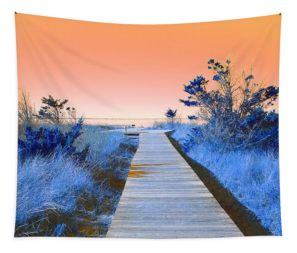 Boardwalk Tapestry featuring the mixed media Boardwalk to the Bay by Stacie Siemsen