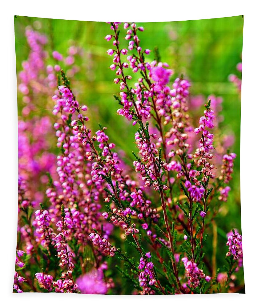 Heather Tapestry featuring the photograph Bold and Beautiful Heather by Carol Groenen