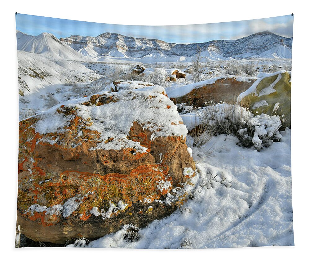 Book Cliffs Tapestry featuring the photograph Book Cliffs Boulders and Fresh Snow by Ray Mathis