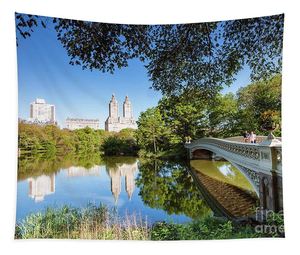 Central Park Tapestry featuring the photograph Bow bridge in springtime, Central Park, New York by Matteo Colombo
