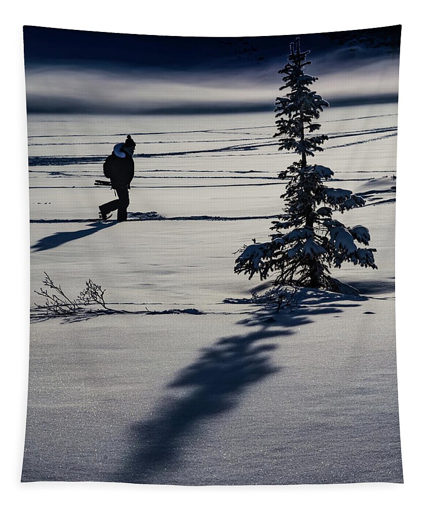 Bow Lake Tapestry featuring the photograph Bow Lake Photographer by Joe Kopp