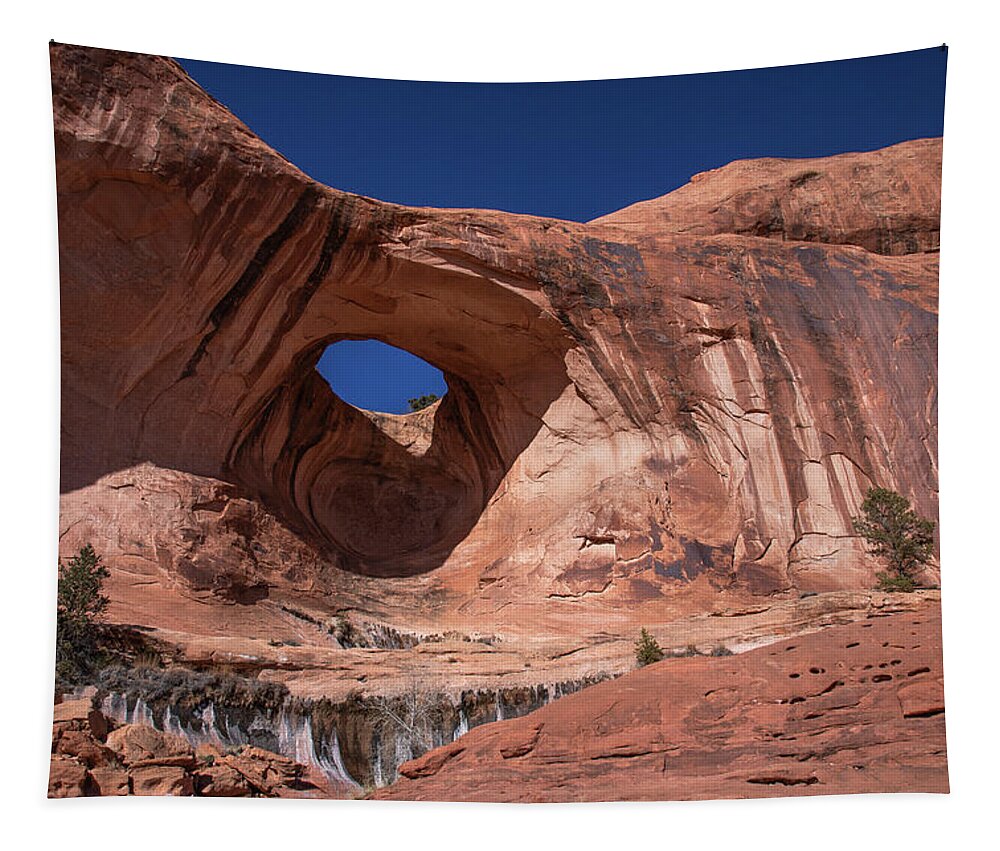  Tapestry featuring the photograph Bowtie Arch by Dan Norris