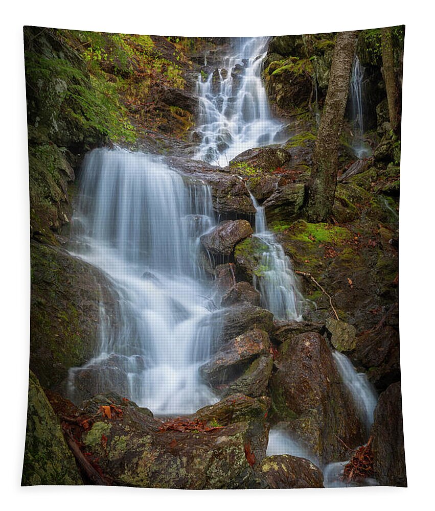 Waterfall Tapestry featuring the photograph Brace Mountain Falls NY by Bill Wakeley