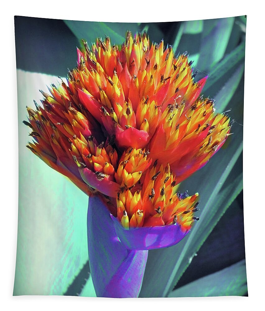 Flower Tapestry featuring the photograph Brash Burst by David Bader
