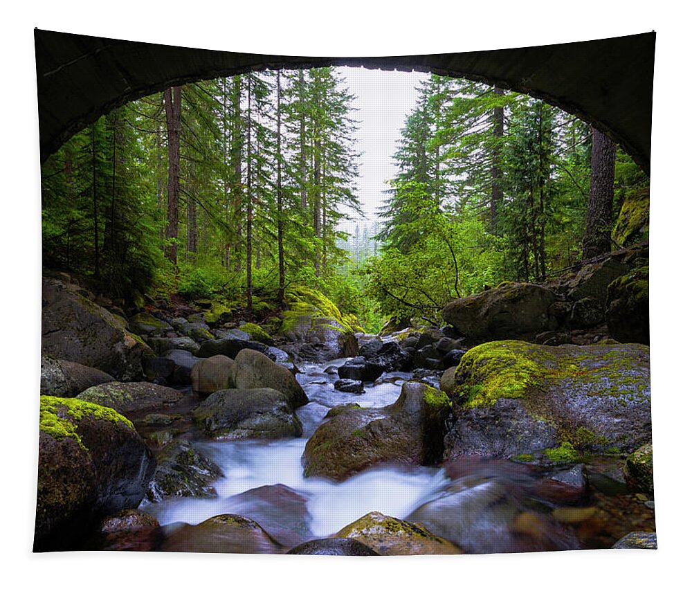 Bridge Below Rainier Tapestry featuring the photograph Bridge Below Rainier by Chad Dutson
