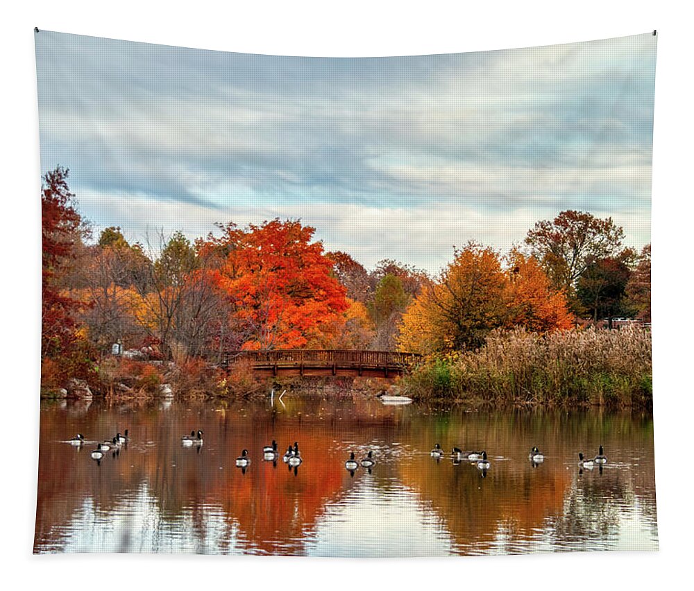 American Kiwi Photo Tapestry featuring the photograph Bridge over the Pond by Mark Dodd