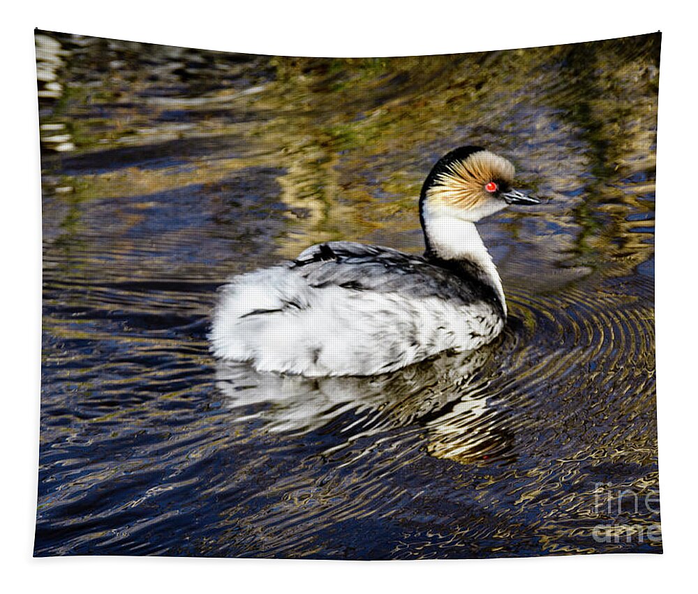 Silvery Grebe Tapestry featuring the photograph Bright Eye by Paulette Sinclair