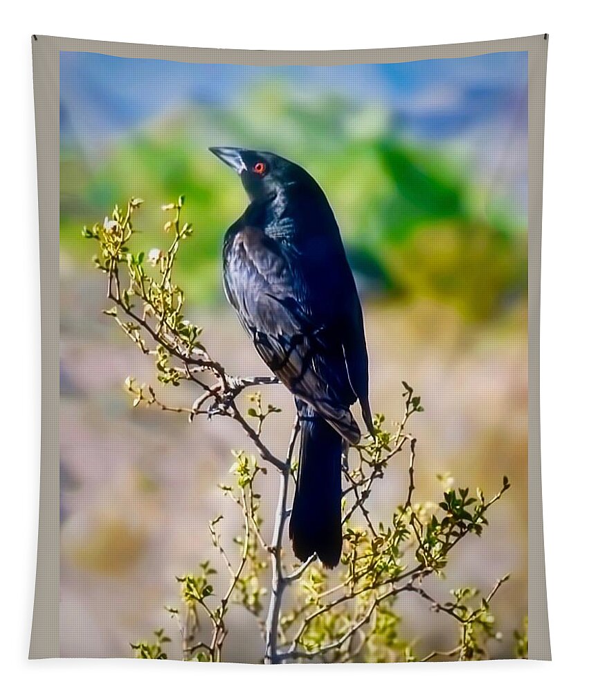 Arizona Tapestry featuring the photograph Bronzed Cowbird on Creosote by Judy Kennedy