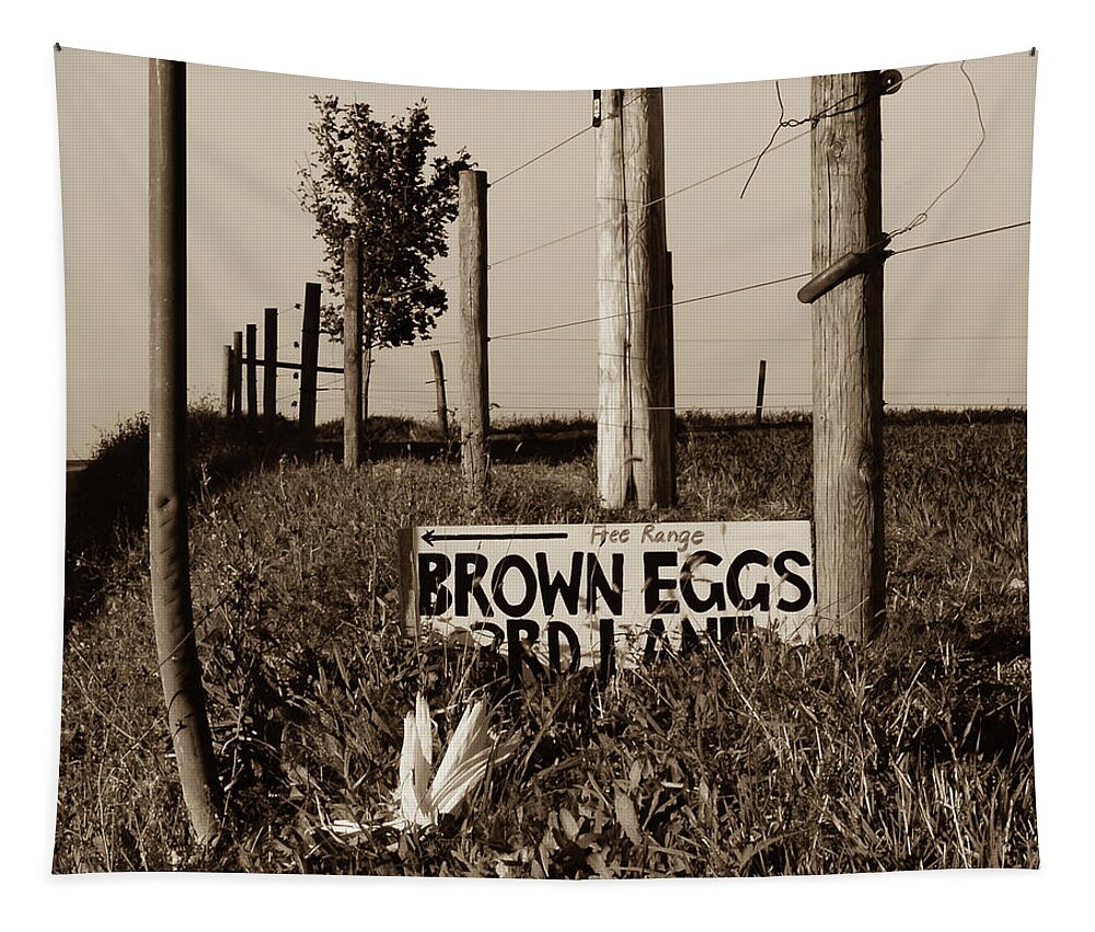 Signs Tapestry featuring the photograph Brown Eggs 3rd Lane by Tana Reiff