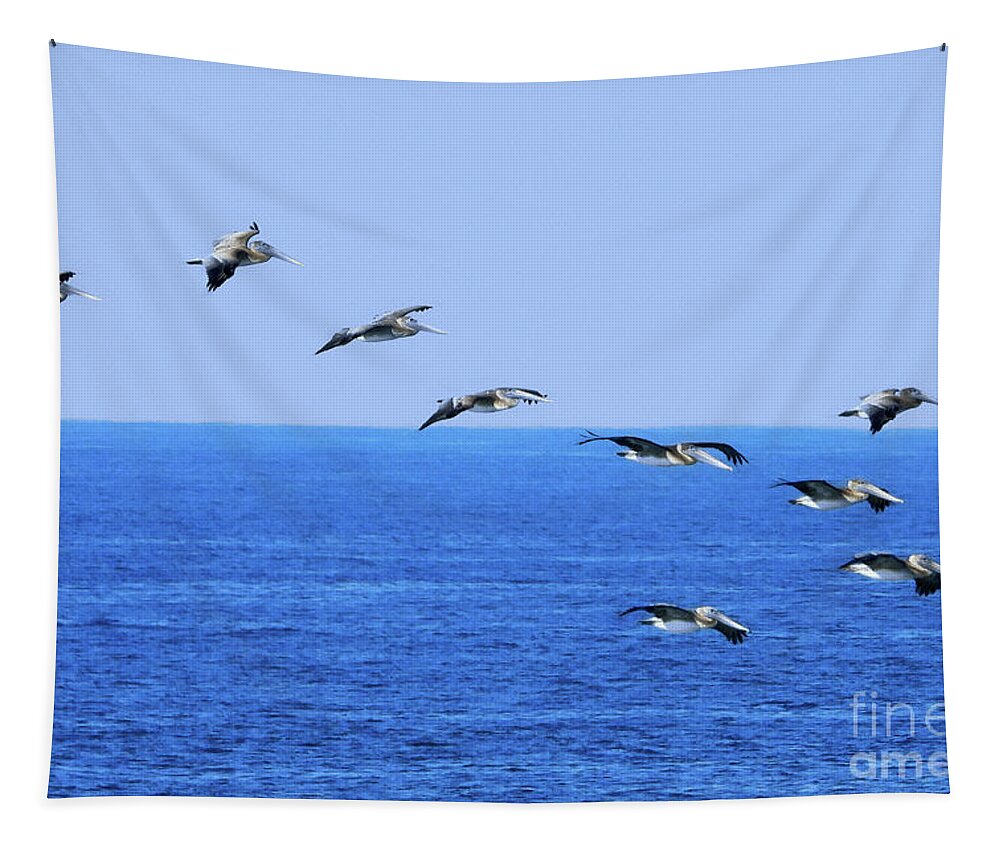 Pelicans Tapestry featuring the photograph Brown Pelicans in Flight by Scott Cameron