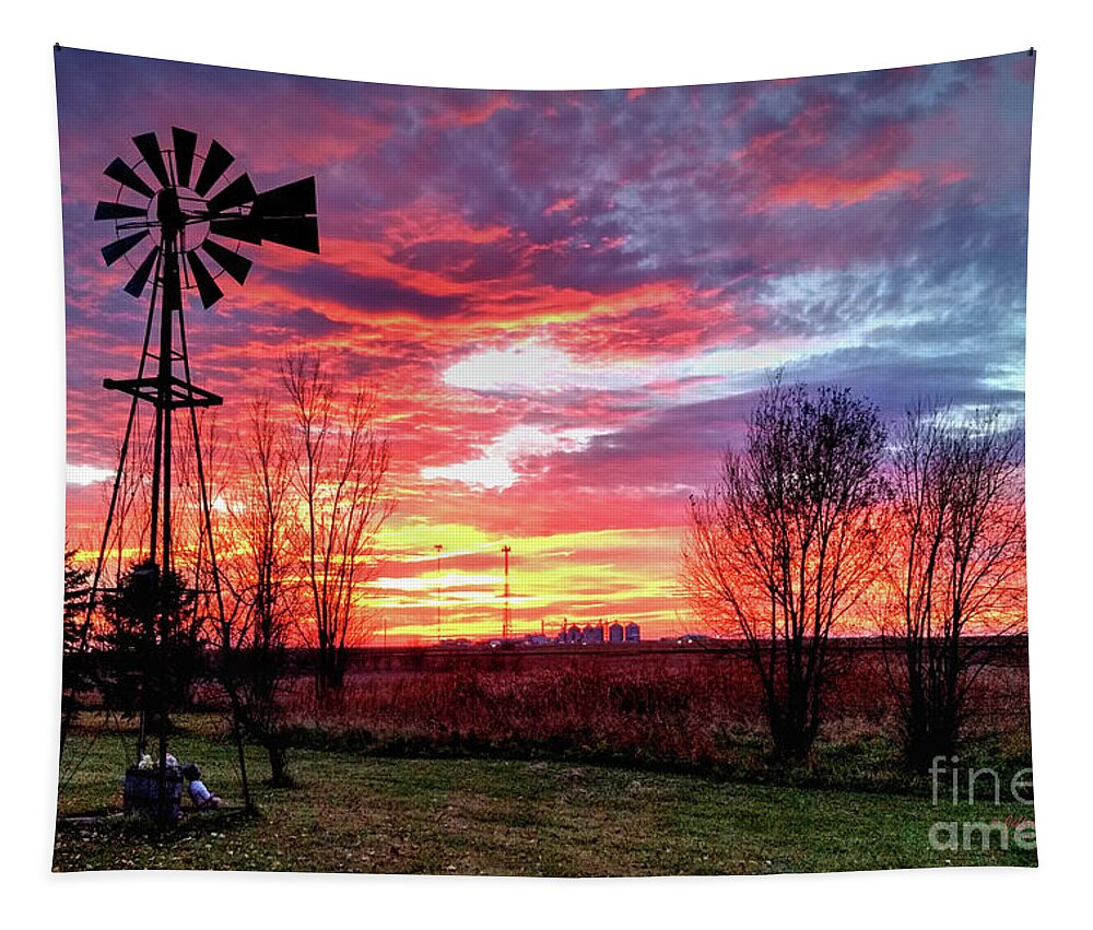 Sunset Tapestry featuring the photograph Buckwheat Watches The Sun Go Down by Jeffrey Schulz