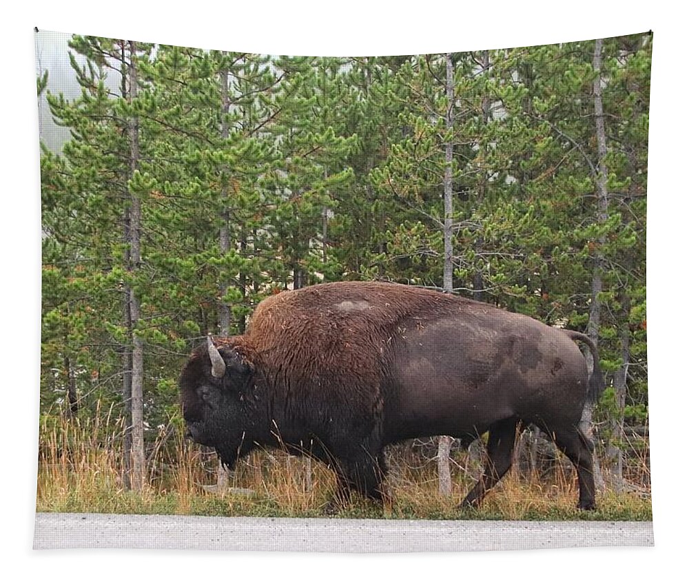 Buffalo At Yellowstone Tapestry featuring the photograph Buffalo at Yellowstone by Susan Jensen