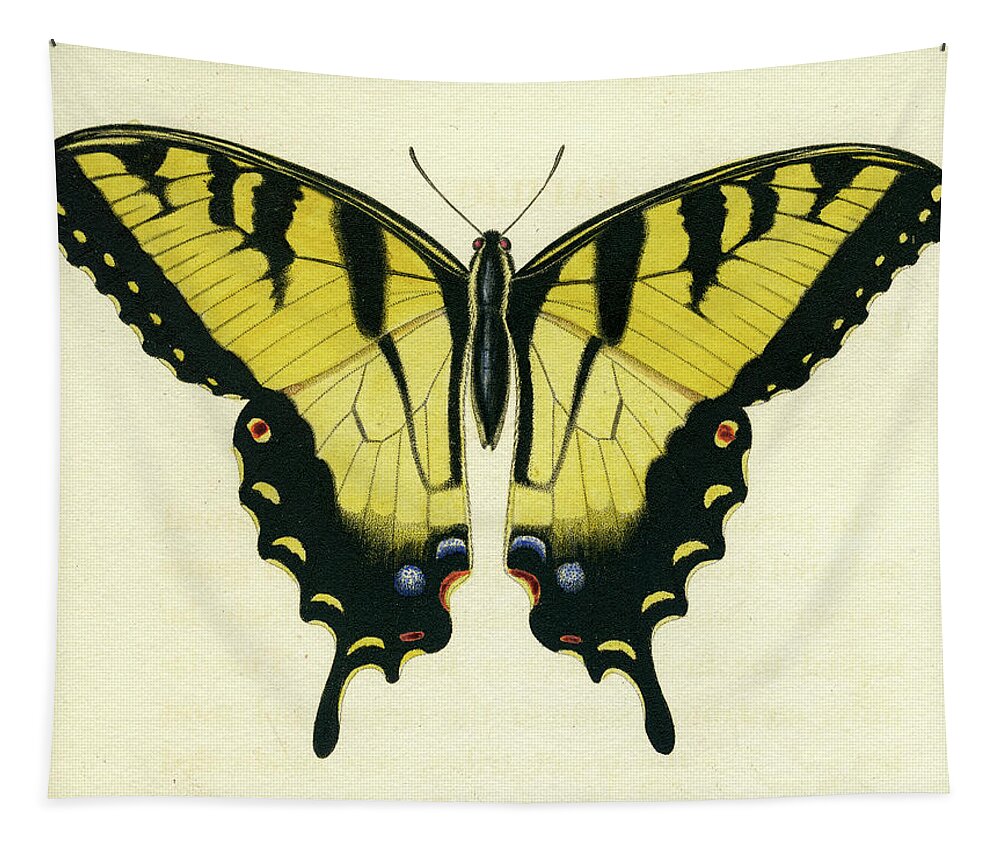 Entomology Tapestry featuring the mixed media Butterfly by Unknown