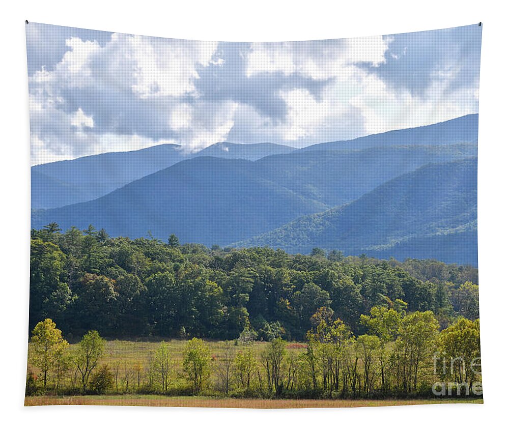 Cades Cove Tapestry featuring the photograph Cades Cove 4 by Phil Perkins