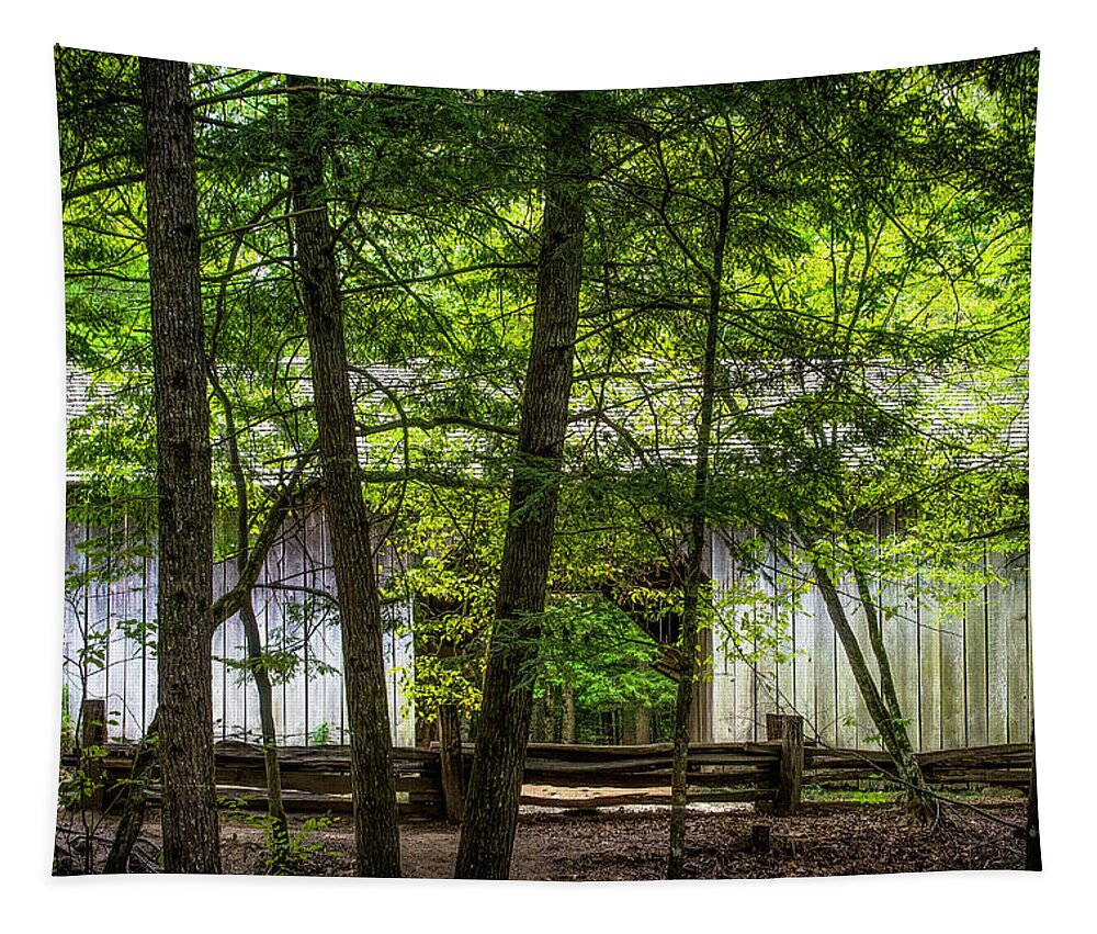 Barn Tapestry featuring the photograph Cades Cove Barn by Ginger Stein