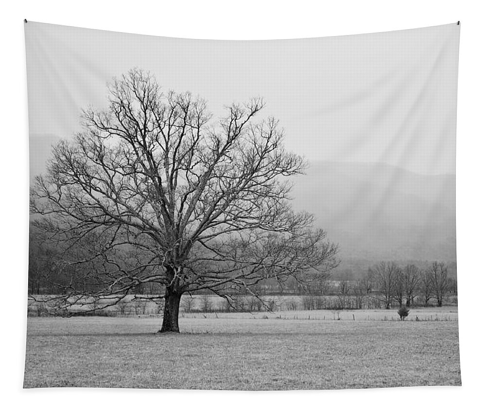 Cades Cove Tapestry featuring the photograph Cades Cove 1 by Nunweiler Photography