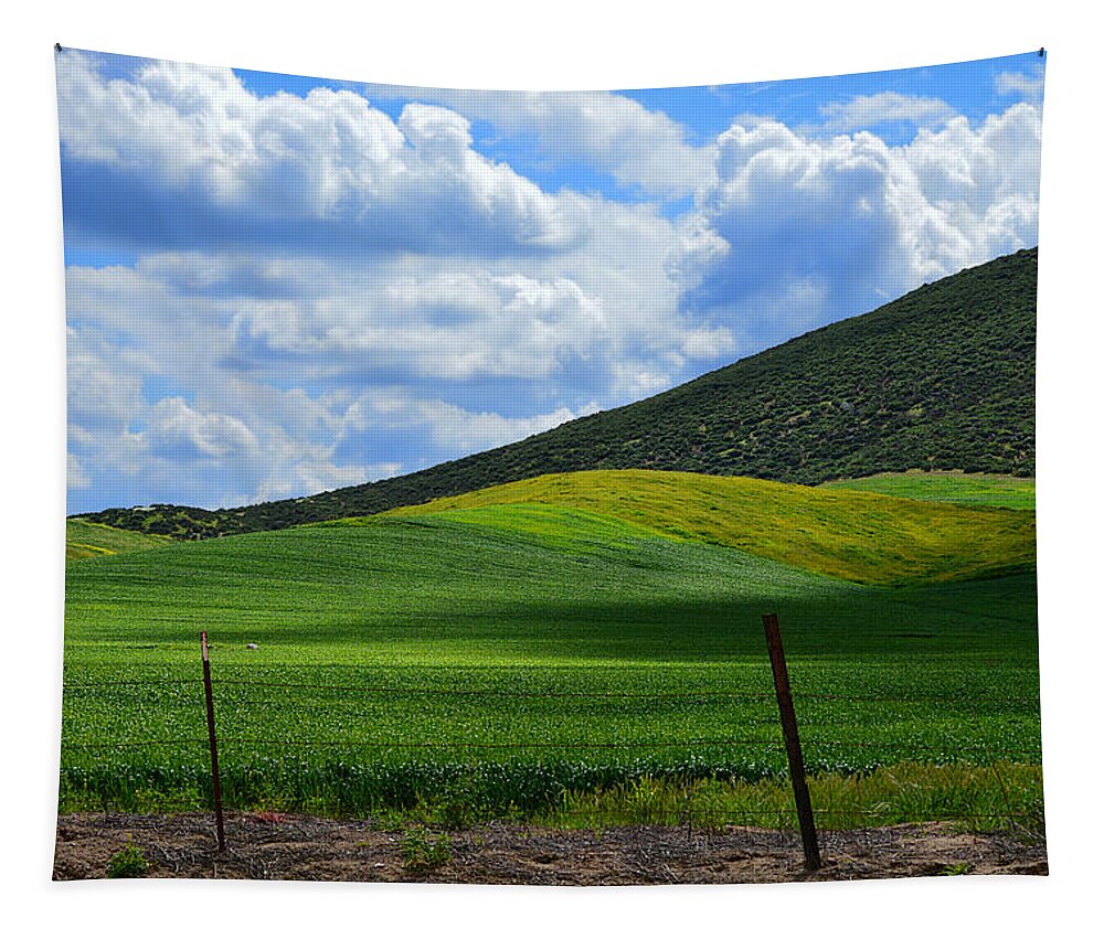 Country Tapestry featuring the photograph California Back Roads by Glenn McCarthy Art and Photography