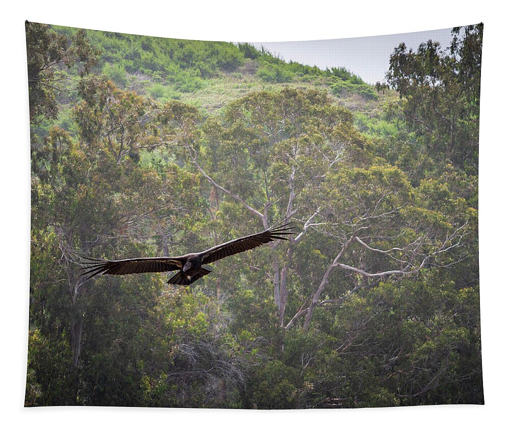 Animal Tapestry featuring the photograph California Condor in Flight II Color by David Gordon