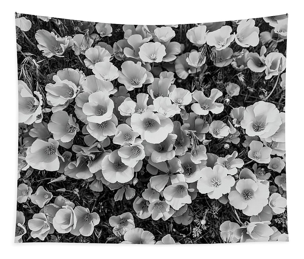 Poppies Tapestry featuring the photograph California Poppies - 2019 - Black And White by Gene Parks
