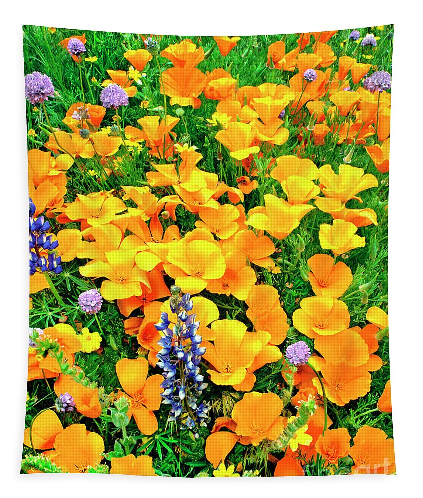 North America Tapestry featuring the photograph California Poppies and Betham Lupines Southern California by Dave Welling