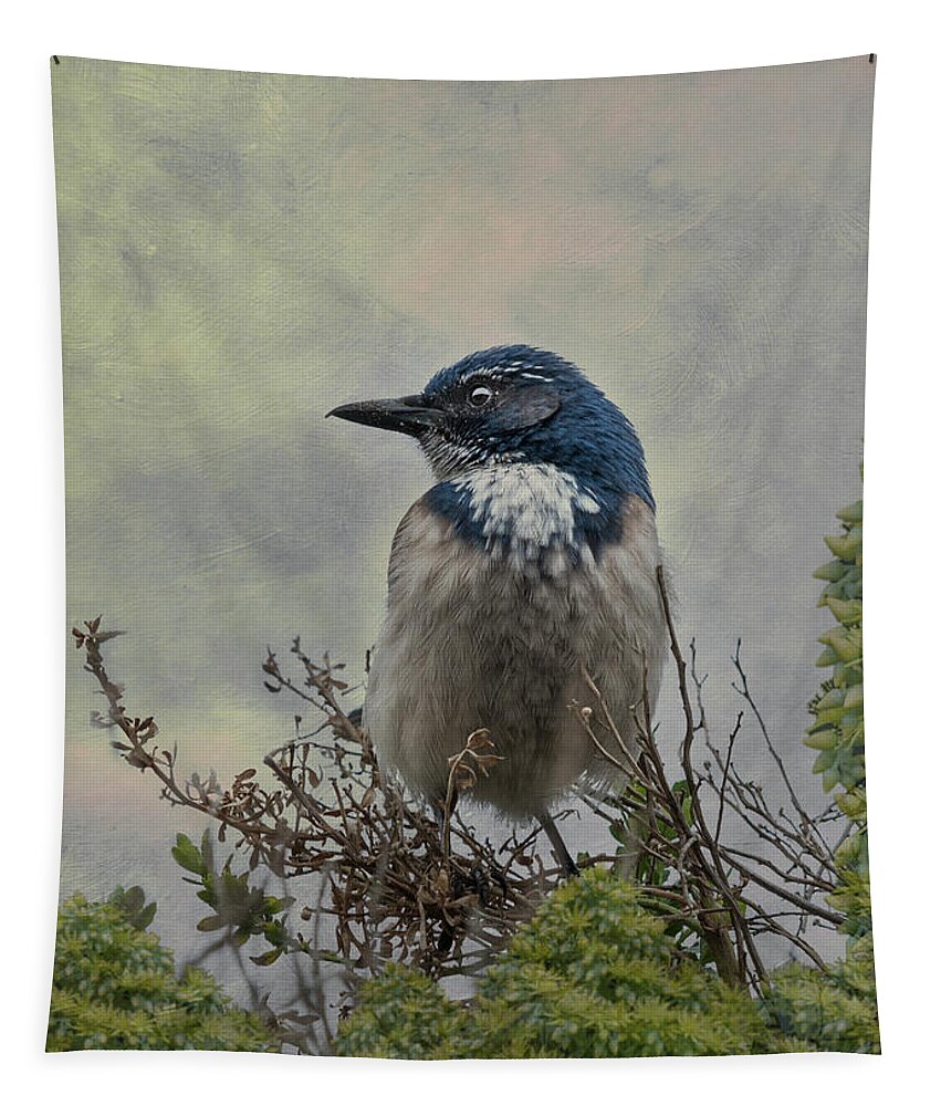 Bird Tapestry featuring the photograph California Scrub Jay - Vertical by Patti Deters