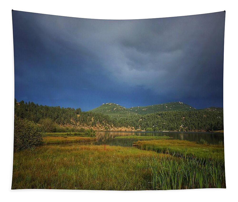 Landscape Tapestry featuring the photograph Calm After the Storm by Dan Miller