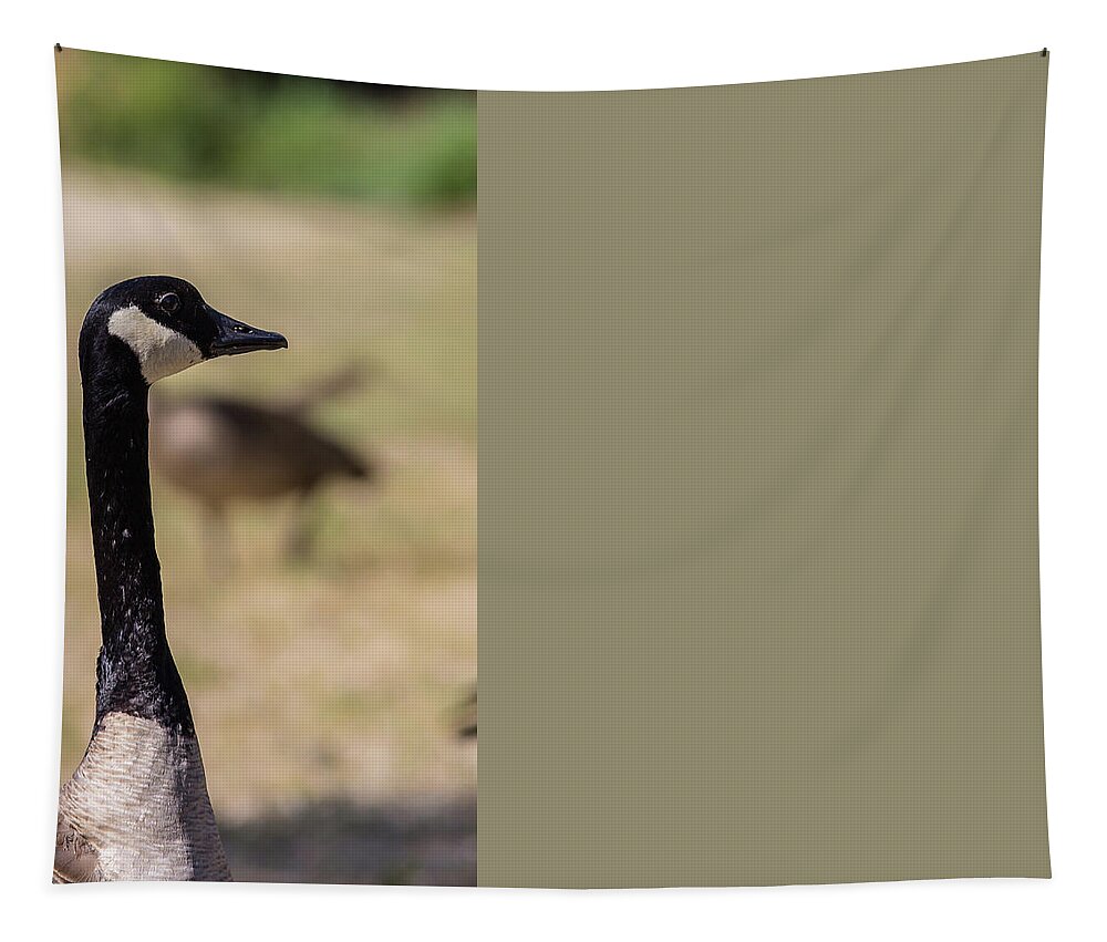 Lake Tapestry featuring the photograph Canadian goose, Mississippi River State Park by Julieta Belmont