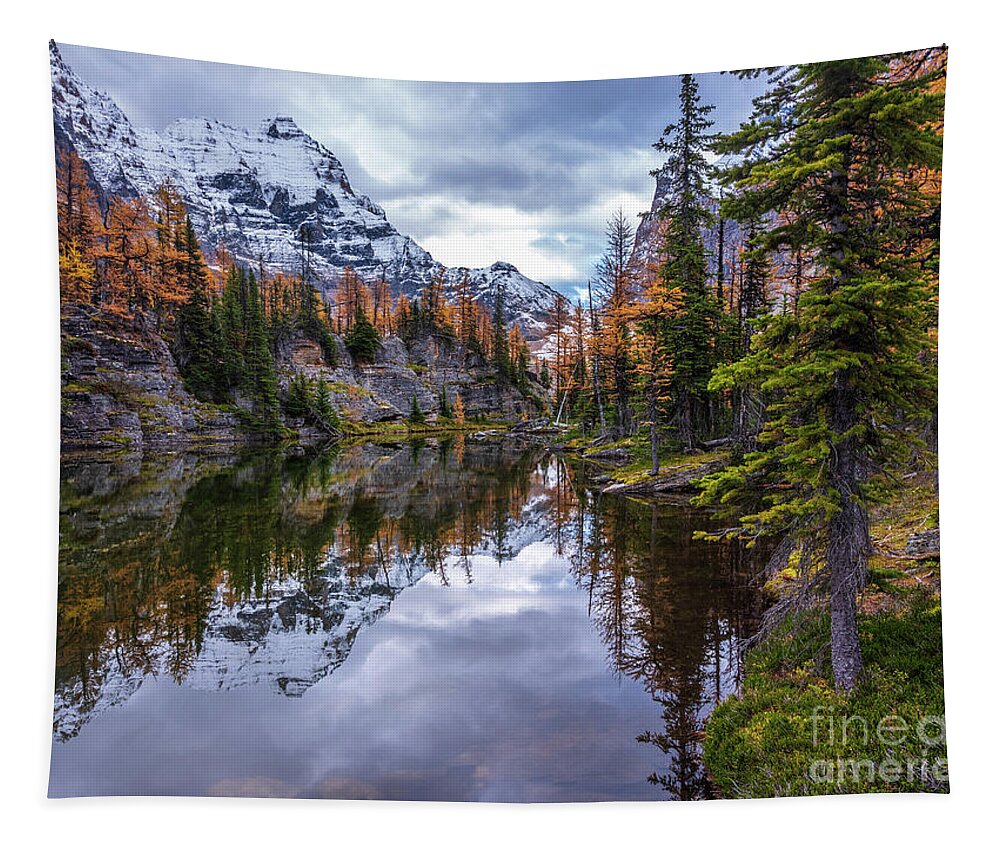  Alpine Lakes Tapestry featuring the photograph Canadian Rockies Fall Colors Reflection by Mike Reid