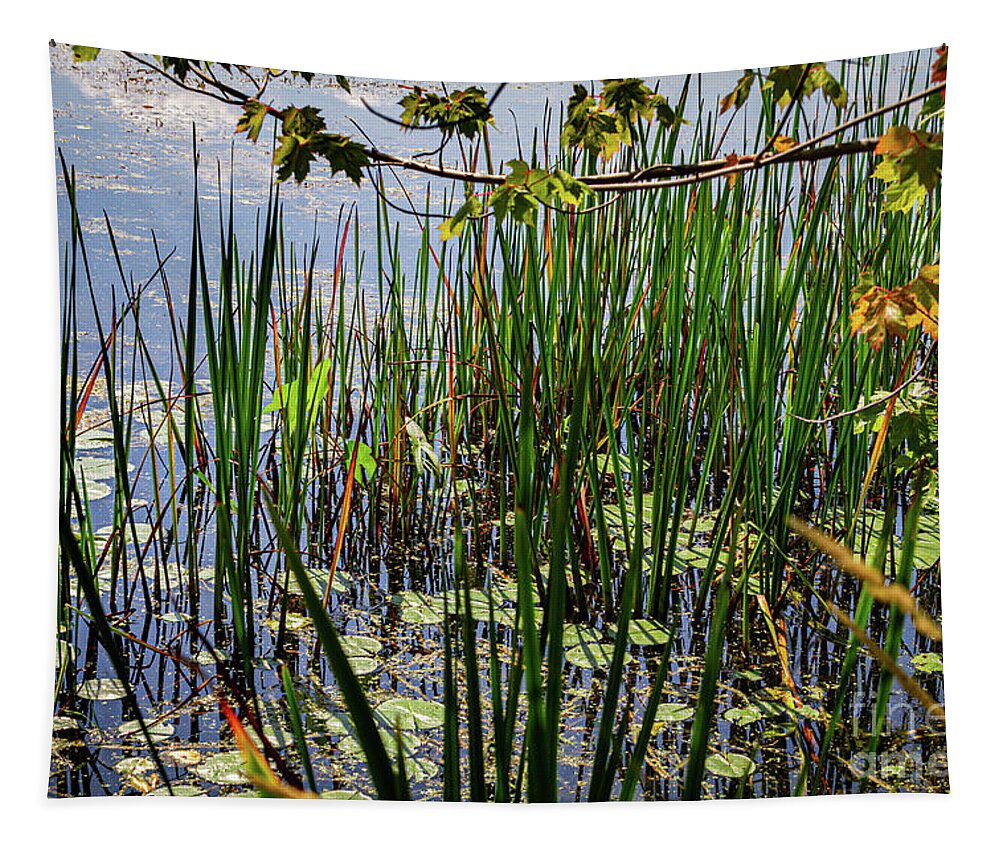 Canandaigua Lake Tapestry featuring the photograph Canandaigua Lake Marsh Reeds by William Norton