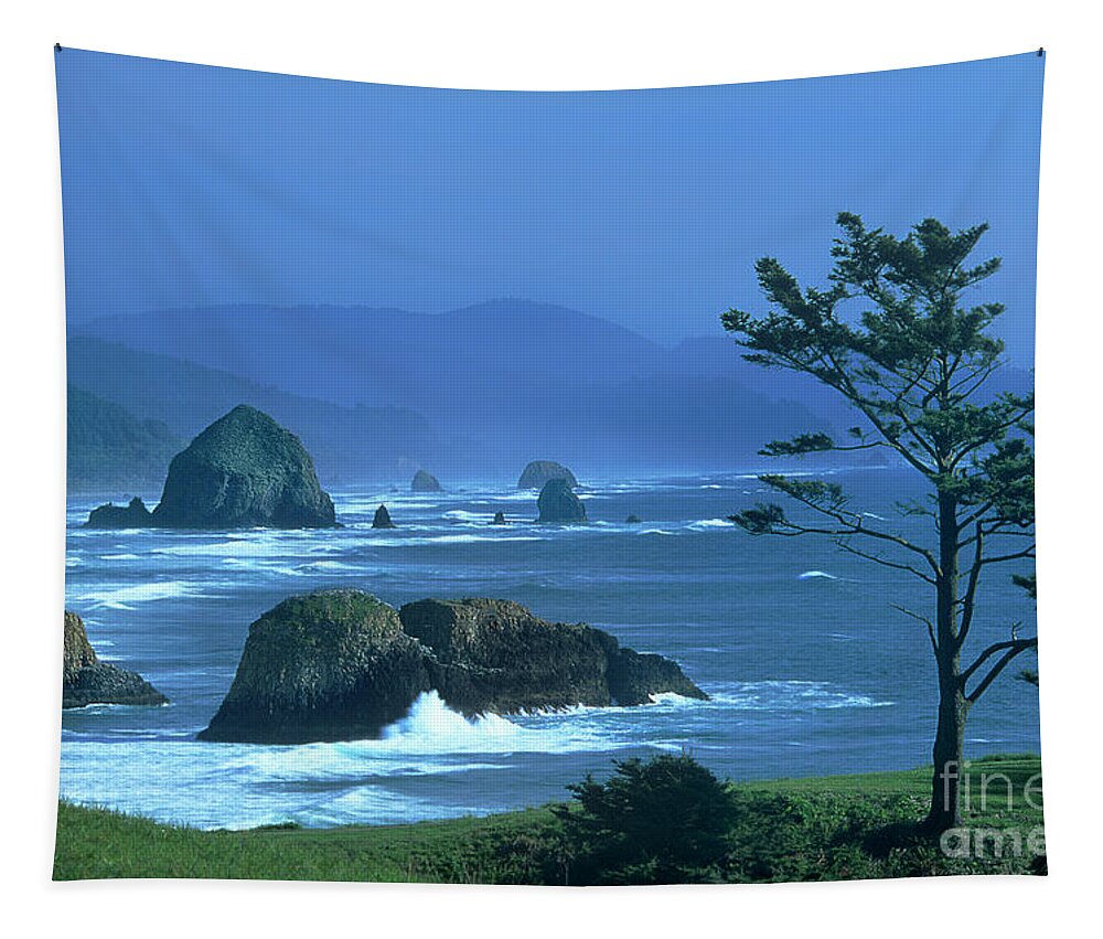 Dave Weling Tapestry featuring the photograph Cannon Beach And Haystack Rock Ecola State Beach Oregon by Dave Welling