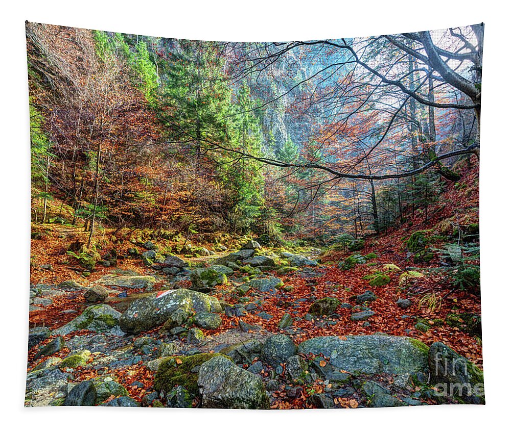 Fall Tapestry featuring the photograph Canyon in mountains by Ragnar Lothbrok