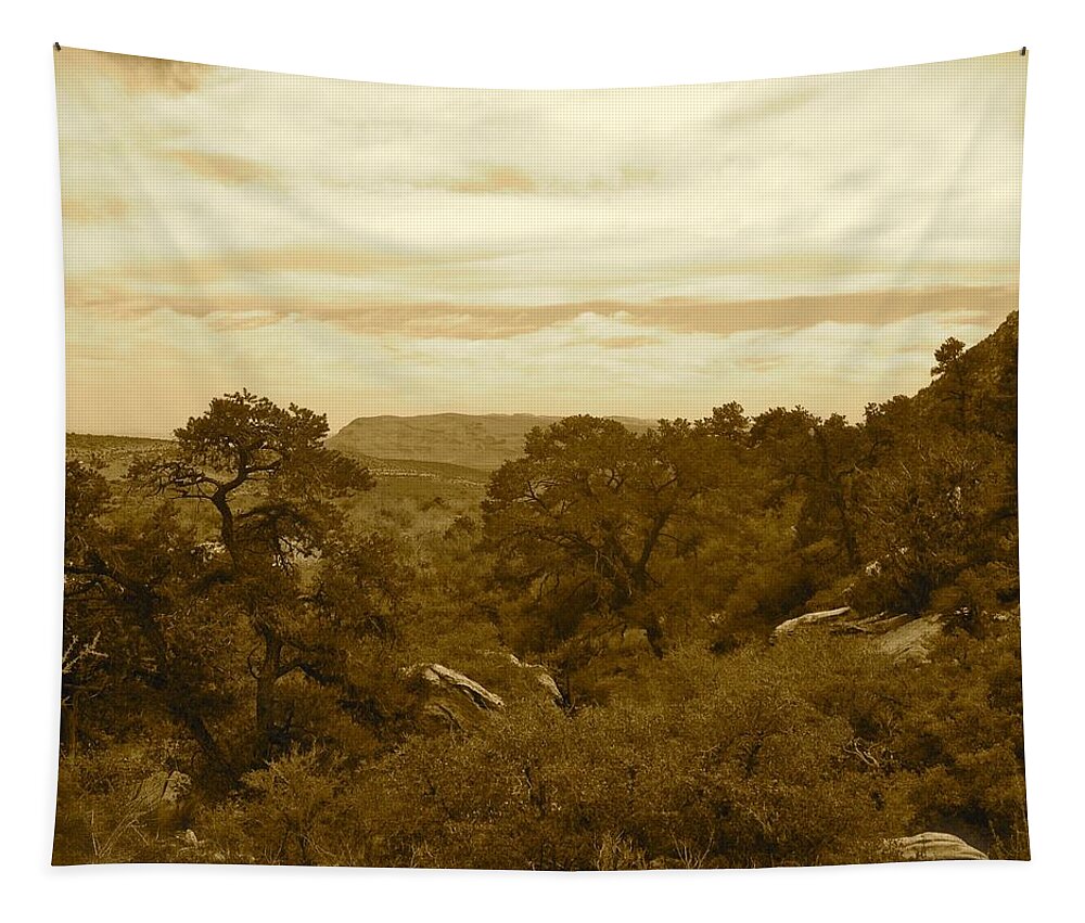 Vista Tapestry featuring the photograph Canyon View by Debra Grace Addison