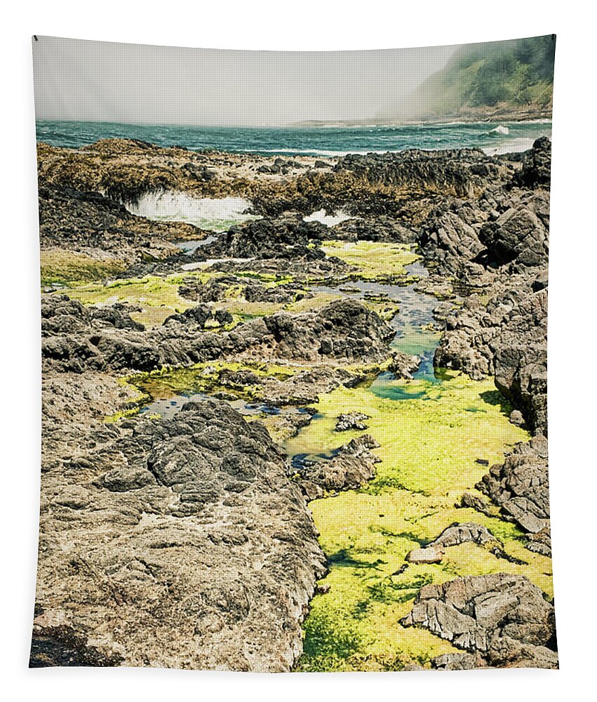 Cape Perpetua Tapestry featuring the photograph Cape Perpetua Tidal Pool #2 - Oregon by Stuart Litoff