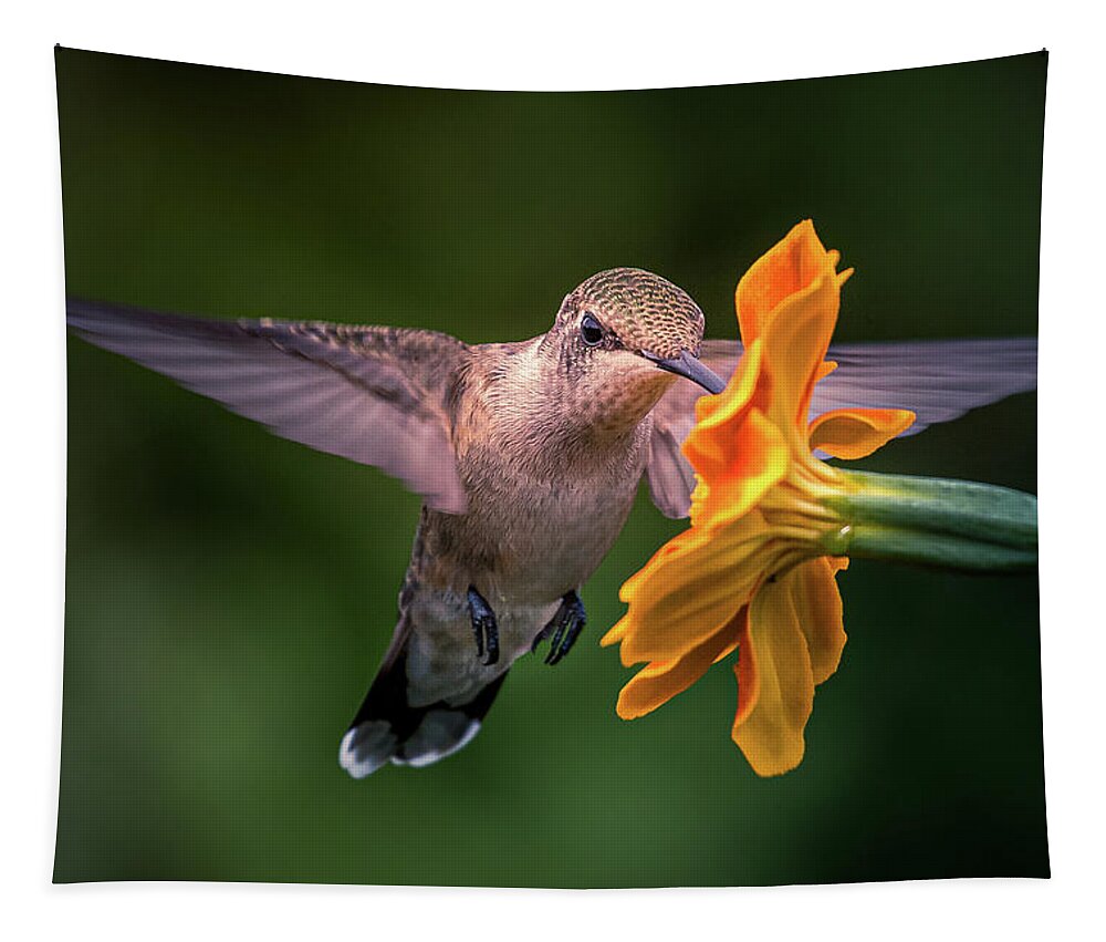 Hummingbird Tapestry featuring the photograph Capturing the Moment by Allin Sorenson
