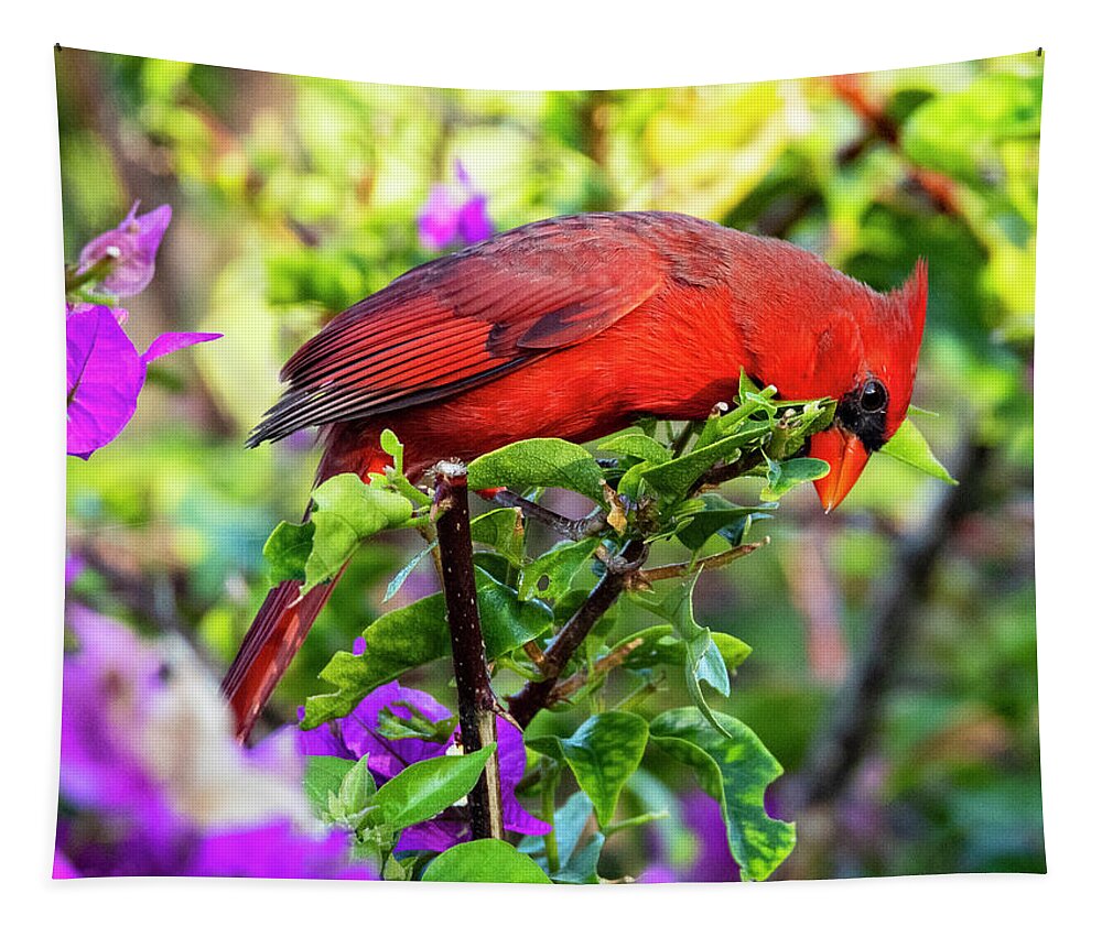 Cardinal Tapestry featuring the photograph Cardinal in Bougainvillea by Don Durfee