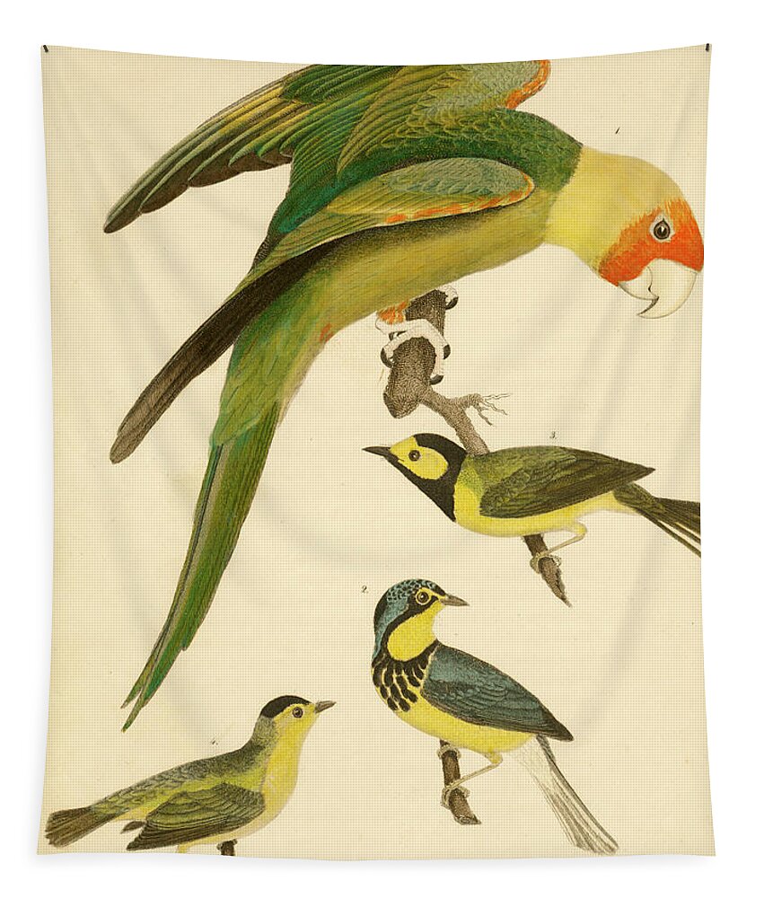 Birds Tapestry featuring the mixed media Carolina Parrot by Alexander Wilson