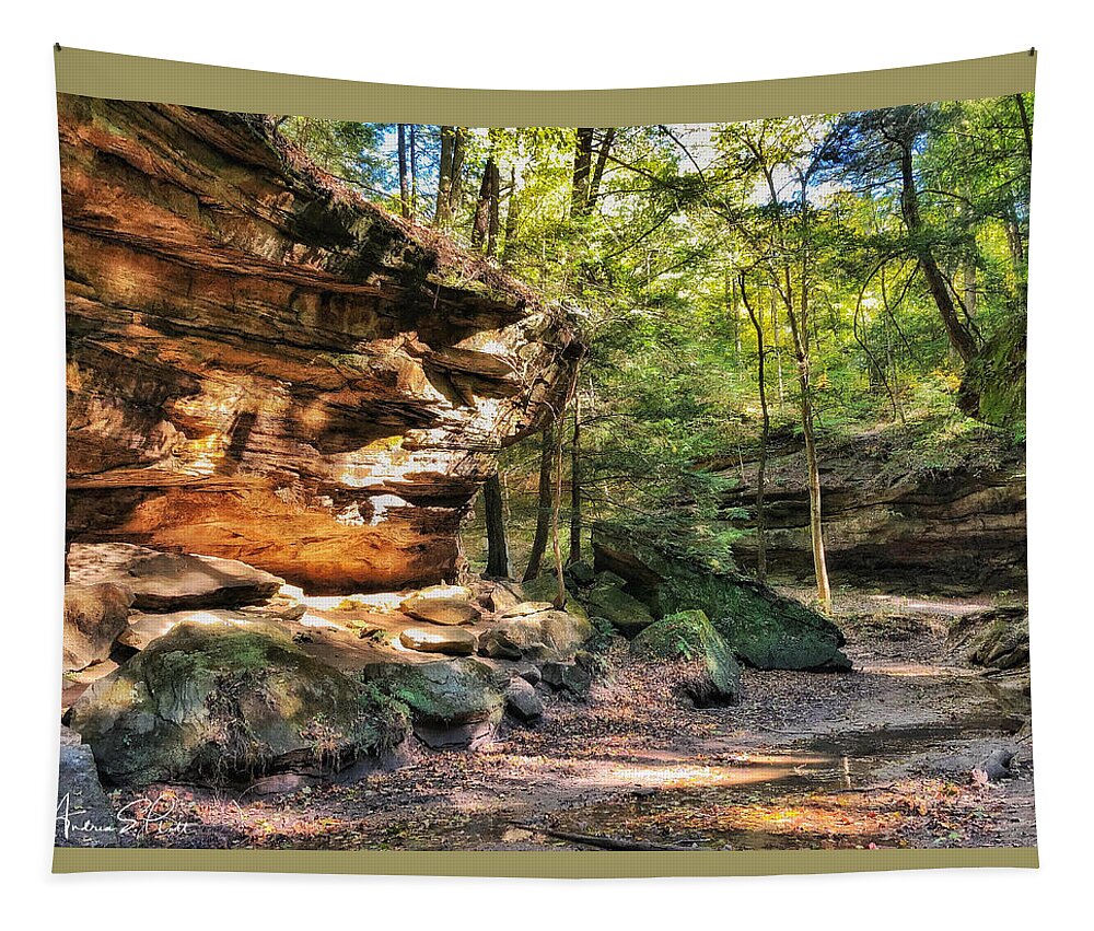 Turkey Run Tapestry featuring the photograph Carved Passage by Andrea Platt