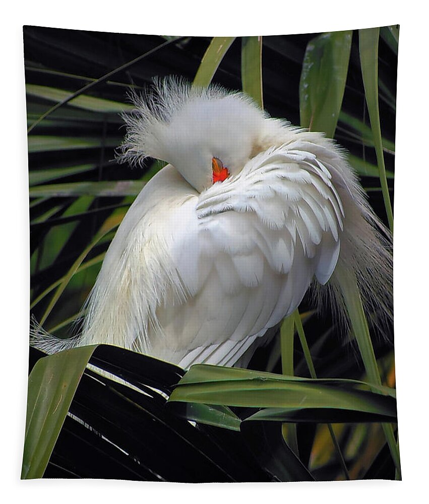 Egret Tapestry featuring the photograph Catching the Red Eye by Michael Allard