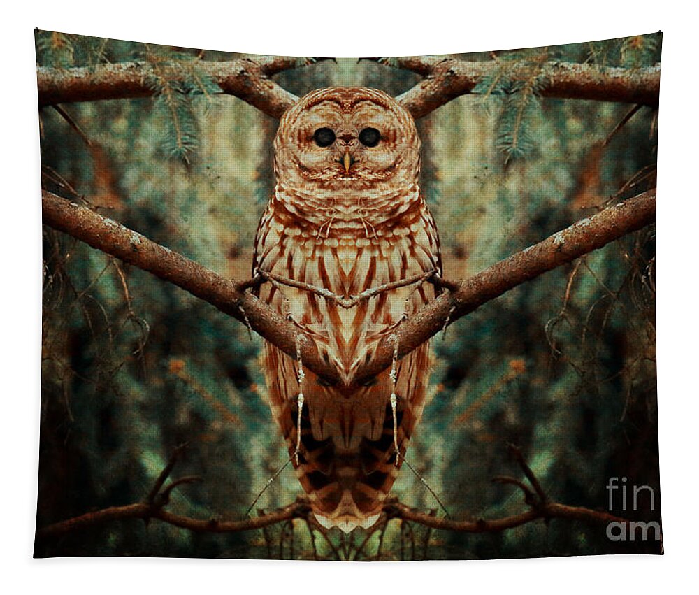 Barred Owl Tapestry featuring the photograph Center of the universe by Heather King